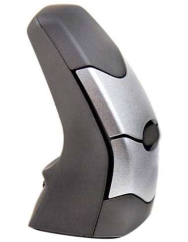 Souris DXT Precision sans fil