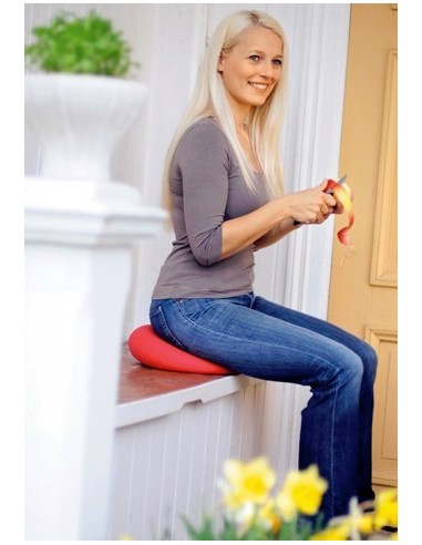 Coussin d'assise gonflable