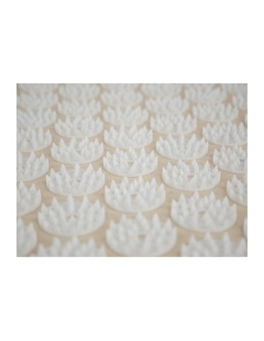 Tapis Anti-douleur Champ de Roses