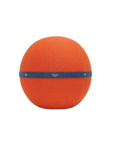 Ballon-Siège design "Bloon"