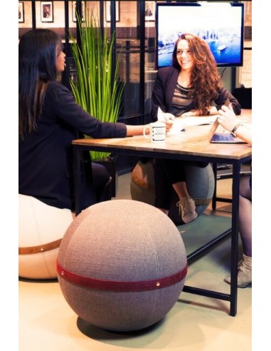 Ballon-Siège design "Bloon"