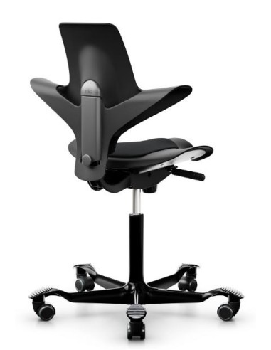 Capisco Puls 8010 livraison rapide