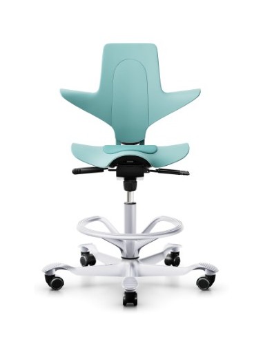 Capisco Puls 8010 à configurer