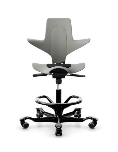 Capisco Puls 8010 à configurer