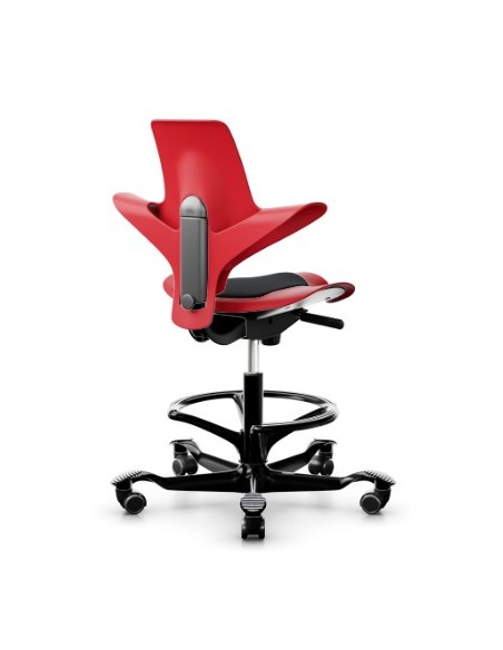 Capisco Puls 8010 à configurer