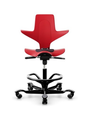 Capisco Puls 8010 à configurer