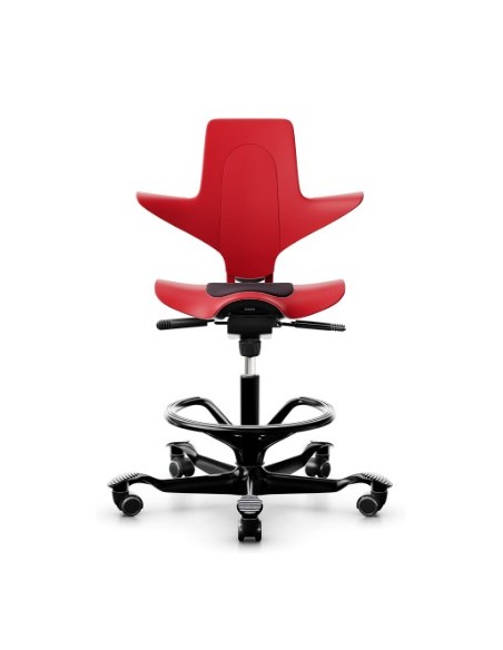 Capisco Puls 8010 à configurer