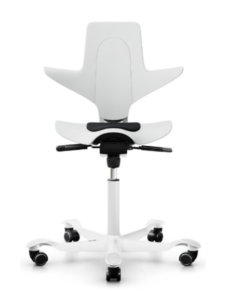 Capisco Puls 8010 à configurer