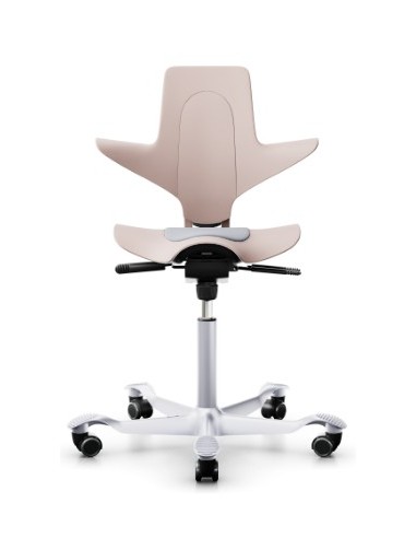 Capisco Puls 8010 à configurer