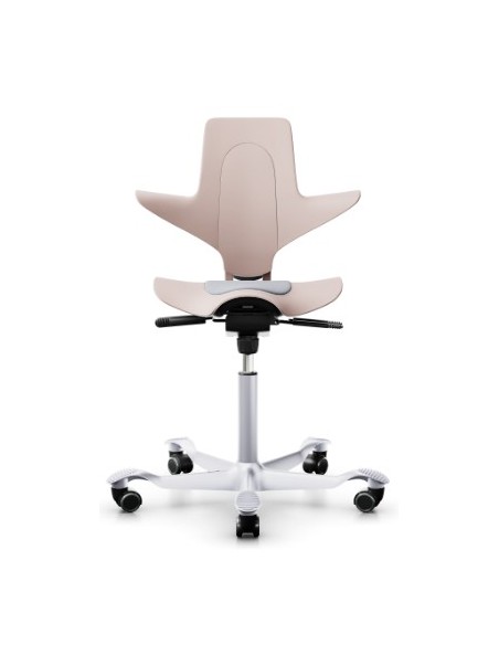 Capisco Puls 8010 à configurer