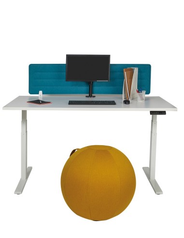 Ballon siège ErgoBall