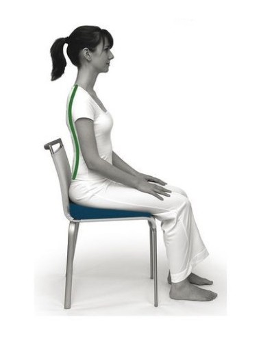 Coussin ergonomique SISSEL SIT Standard