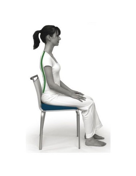 Coussin ergonomique SISSEL SIT Standard