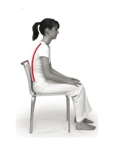 Coussin ergonomique SISSEL SIT Standard