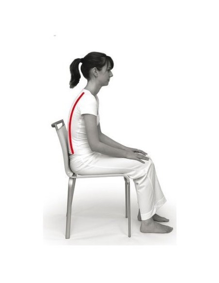 Coussin ergonomique SISSEL SIT Standard