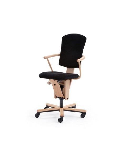 Fauteuil ergonomique Moizi 18