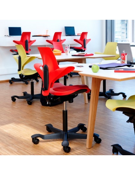 Capisco Puls 8010 à configurer