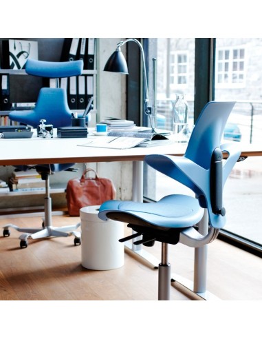 Capisco Puls 8010 à configurer