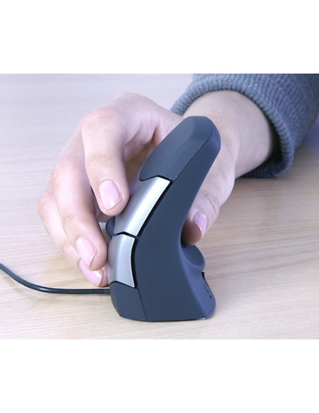 Souris DXT Precision 
