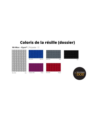 Siège ergonomique Wi-Max