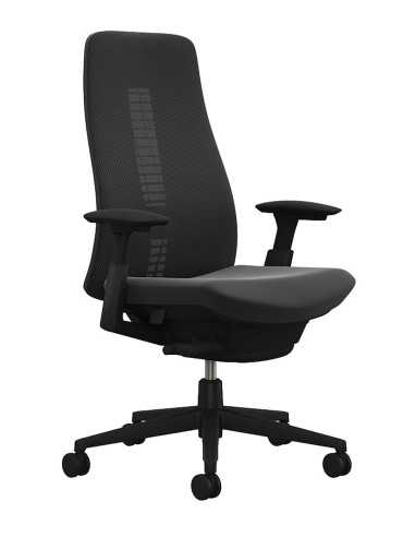 Siège ergonomique Fern Haworth toutes options livraison rapide