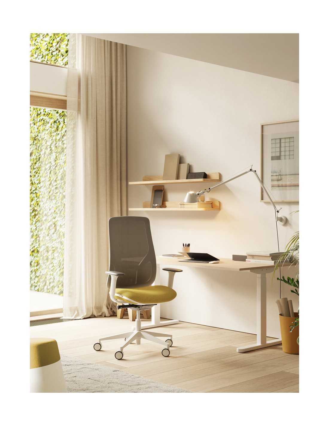 Chaise ergonomique de bureau pour mal de dos – UP & DESK