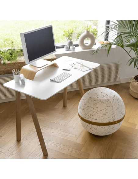 Ballon-siège dynamique design Bloon