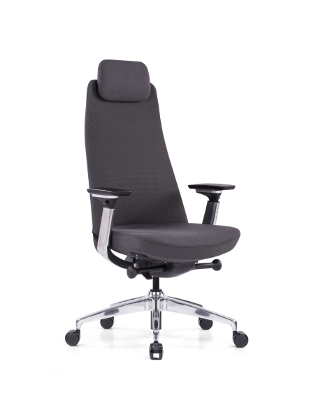 Siège ergonomique King5 livraison rapide