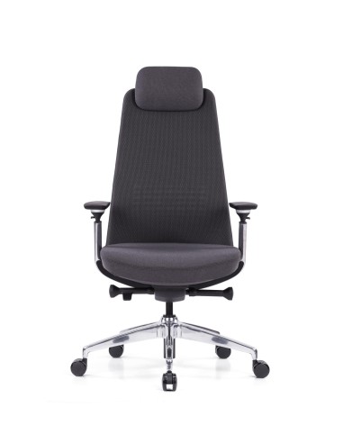 Siège ergonomique King5 livraison rapide