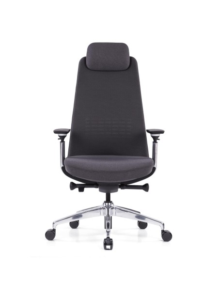 Siège ergonomique King5 livraison rapide
