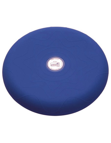 Coussin ballon assise dynamique SISSEL SitFit