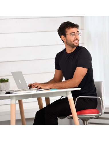 Coussin ballon assise dynamique SISSEL SitFit