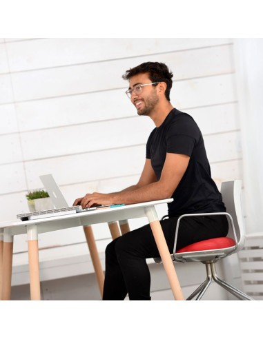 Coussin ballon assise dynamique SISSEL SitFit