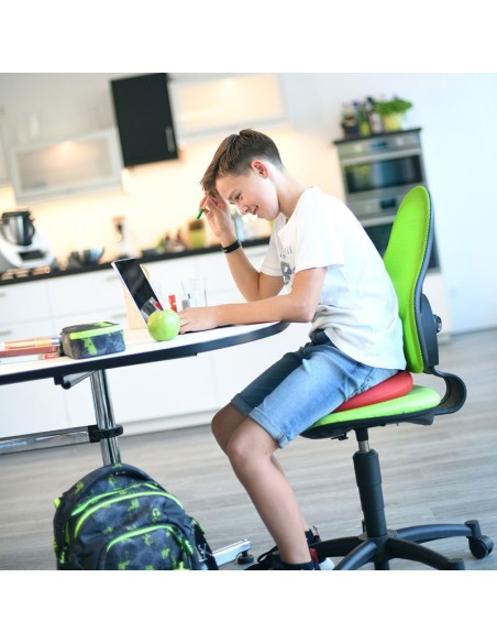 Coussin ballon assise dynamique SISSEL SitFit