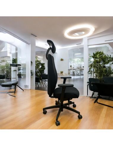 Siege ergonomique Cesar 2.0 livraison rapide profil Siege ergonomique Cesar 2.0 livraison rapide profil