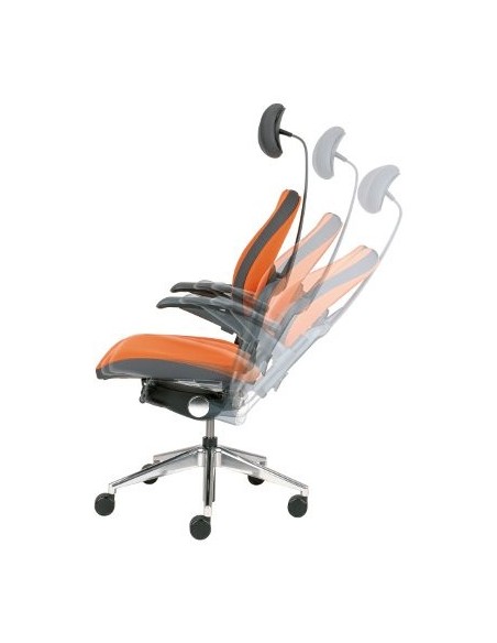 Siège Xenium Duo Back