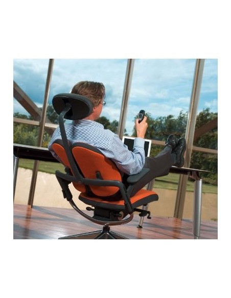 Siège Xenium Duo Back