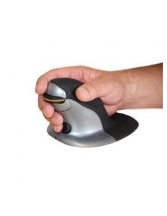 Souris Penguin