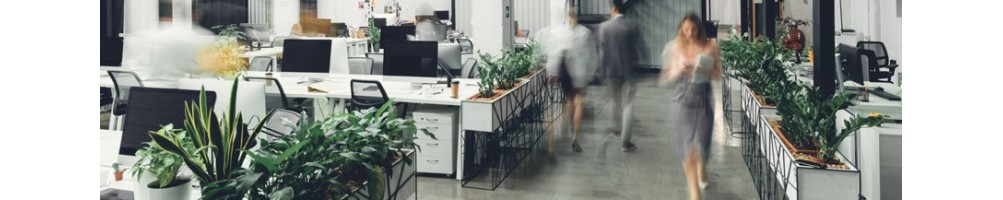 Flex Office et travail hybride - MyNewOffice