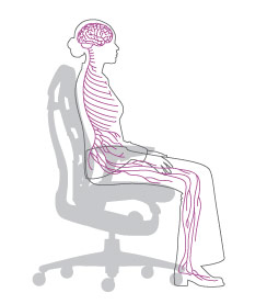 Dessin technique Embody posture 1